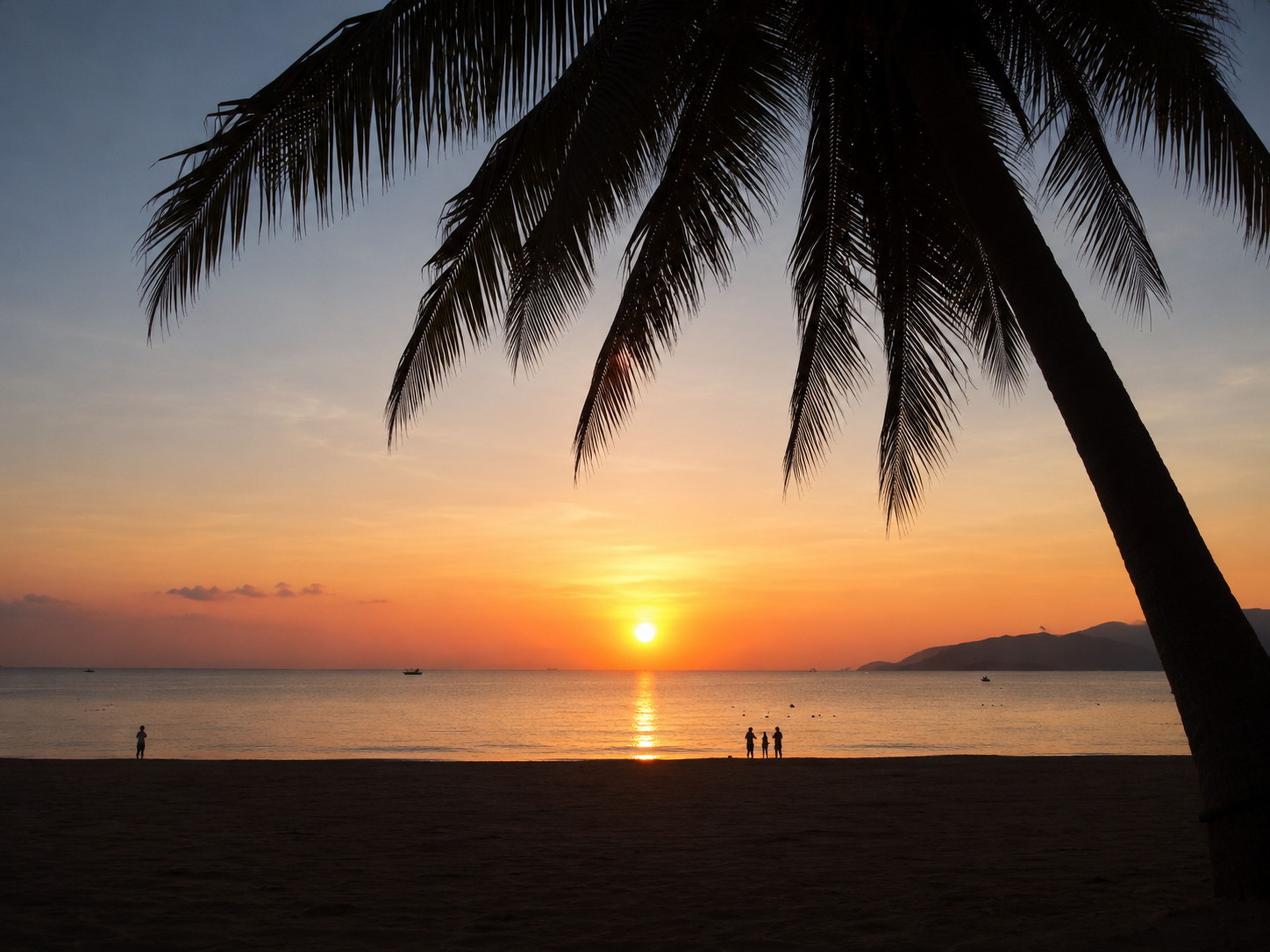 Waking up at 4:30 AM: Morning swimming with the locals - Hình 1